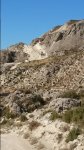 DSC_0335.JPG