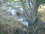 DSCN1715.jpg