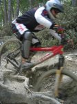 IMG_2764.jpg