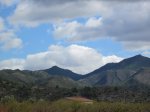 IMG_1109.JPG