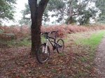 20151120_130512.jpg