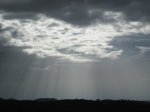 IMG_1450.JPG