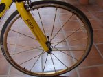 Giant Tcr 09.jpg