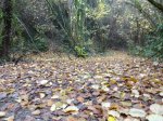 DSC02435.JPG