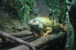 aquarium1 304.jpg