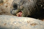 zoo2007 1254.jpg