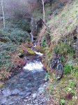 IMG_20160130_121800.jpg