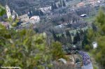laigueglia16-trees-view-1200-.jpg