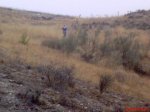 DSC00096.JPG