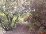 DSC00107.JPG