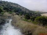 DSC00109.JPG