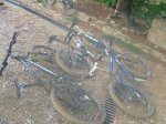 Bicis.jpg