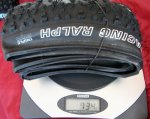 schwalbe1.jpg