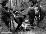 flanders-kelly-1000.jpg
