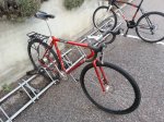 20160331_083106.jpg