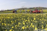 frankfurt16-flowers-1000.jpg