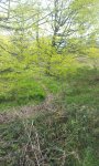 20160505_105959.jpg