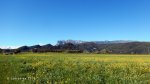 DSCN4674.jpg