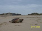 100_0660.jpg