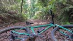 20160702_100514_HDR-2.jpg