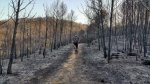 IMG-20160803-WA0001.jpg