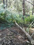 IMG-20160820-WA0011.jpg