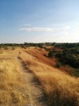 24nlbbn-1.jpg