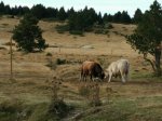 IMG_20161016_104421.jpg