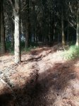 IMG-20161029-WA0008.jpg