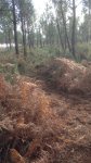 IMG-20161031-WA0004.jpg