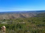 IMG-20160425-WA0013.jpg