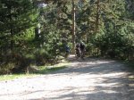 IMG_2273_redimensionar.jpg