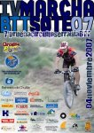 CARTEL_IV07Msote.jpg