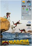 cartel2017imprimir_500x704.jpg