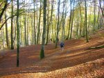 DSCN3058.JPG