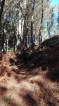 IMG-20170107-WA0002.jpeg