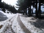 IMG_20170218_120426.jpg
