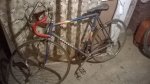 IMG-20160924-WA0003.jpg