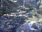 IMG_0069.JPG