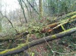 IMG-20170306-WA0007.jpg