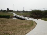 pasarela.jpg