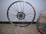 DSCN5549.jpg