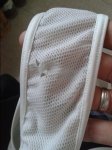 IMG_20170420_081939.jpg