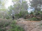 IMG_3995 [800x600].jpg
