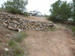 destrozo de aspe 001.jpg