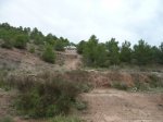destrozo de aspe 005.jpg