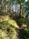 IMG-20170426-WA0008.jpg