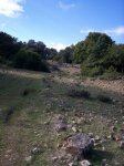 1100_0793.JPG