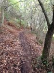 IMG-20171021-WA0012.jpg