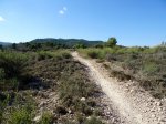 DSC01708.JPG